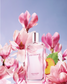 Eau de Parfum L'Evidence