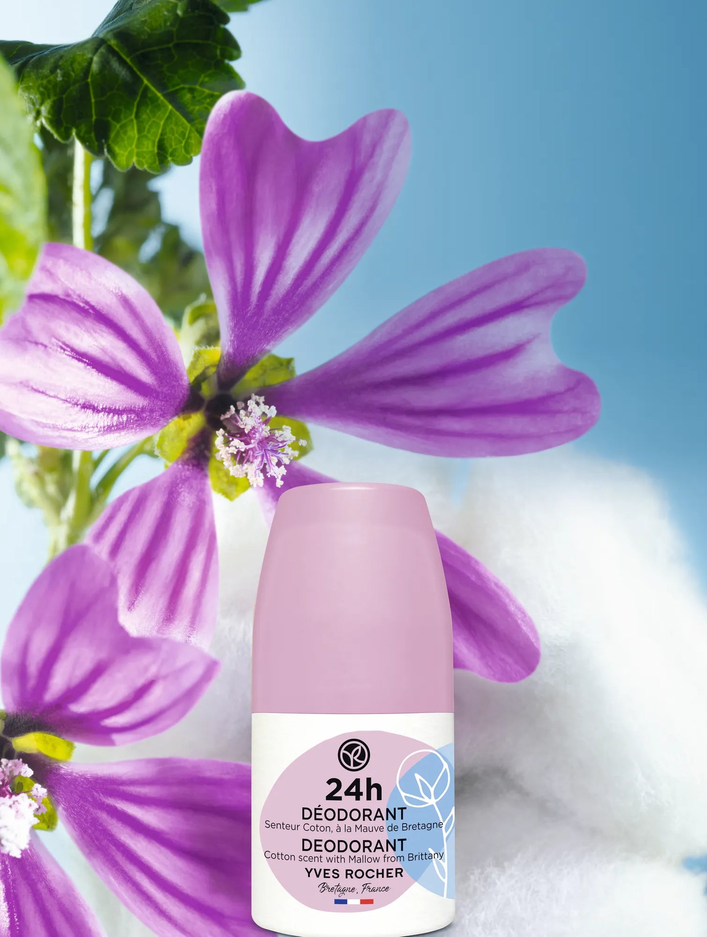 Deodorant with 24h protection cotton and marshmallow