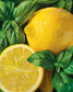 Shower gel lemon and basil