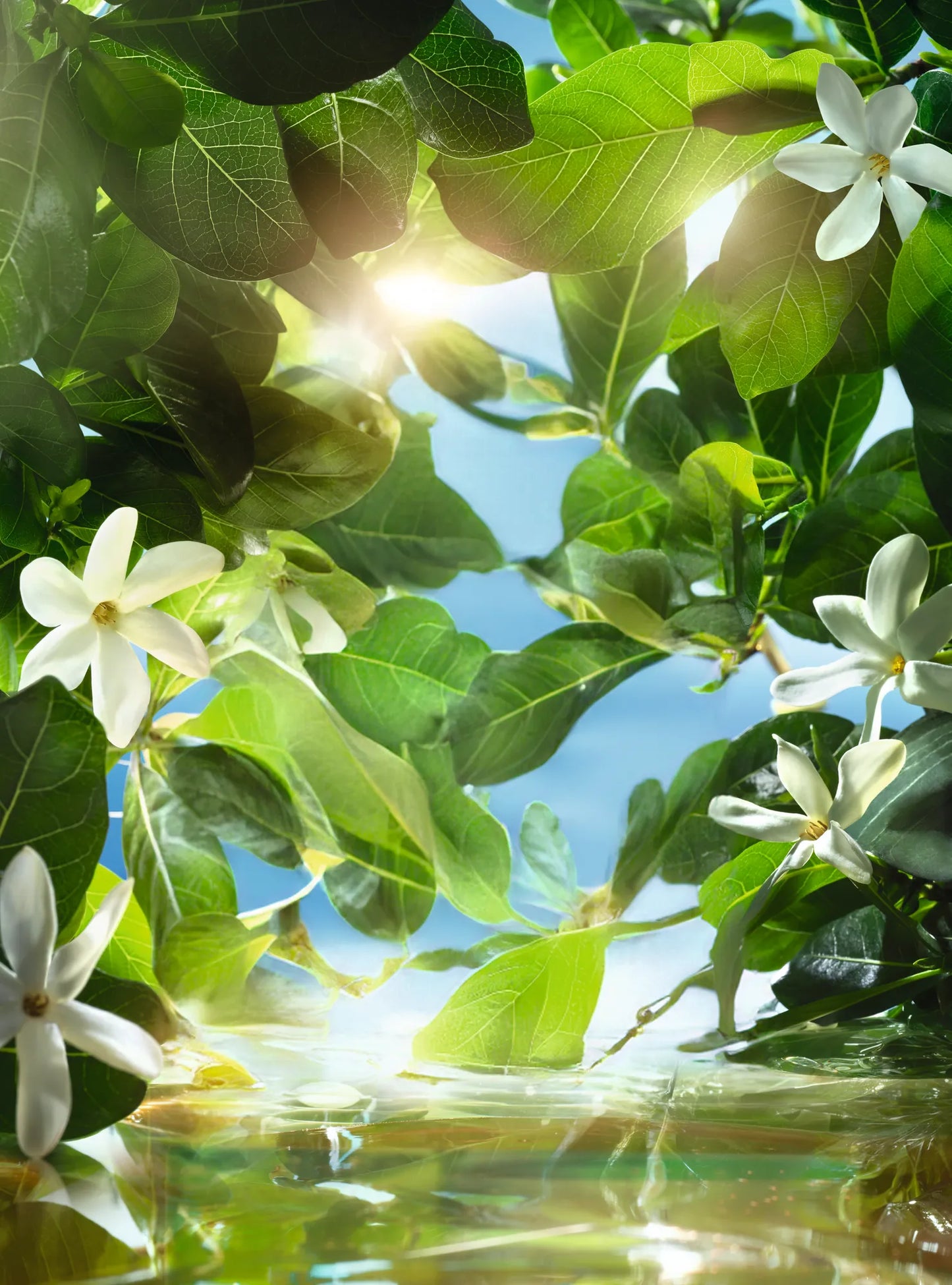 Monoi de Tahiti 3u1 maska za kosu