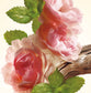 Eau de Parfum Garden Party