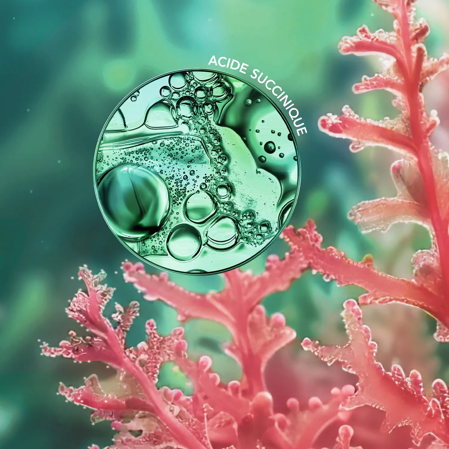 Nega protiv nepravilnosti