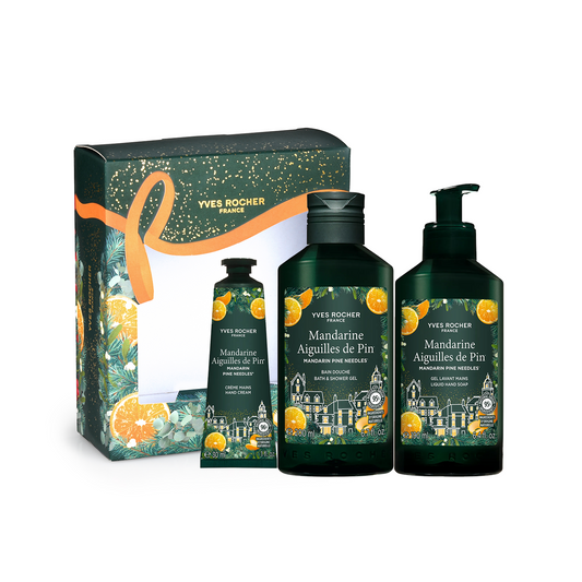 Praznični set Mandarina i iglice bora